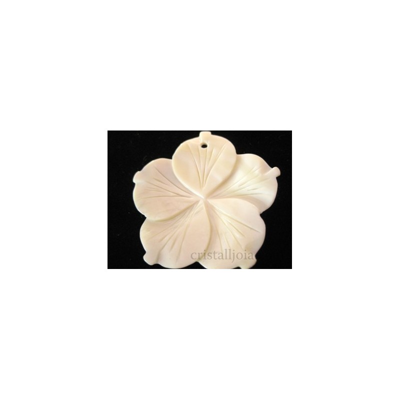 Colgante flor de nácar blanco 5 puntas