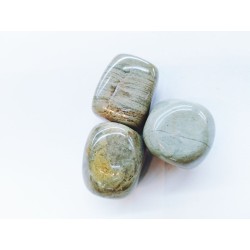 Canto rodado de jaspe verde gris