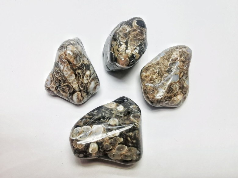 Canto rodado de ágata turritela tamaño 4