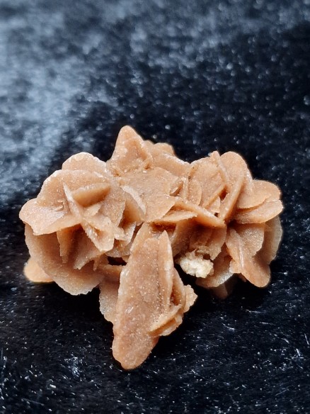 Rosa do deserto na Cristalljoia Barcelona