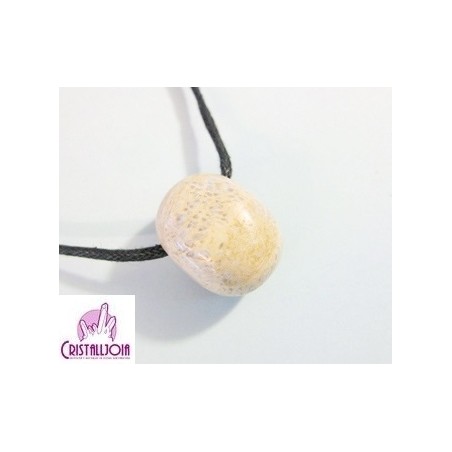 Agata coral fosil colgante rodada agujero