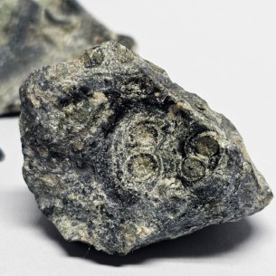 Jaspe kambaba Mineral para Colección - Madagascar