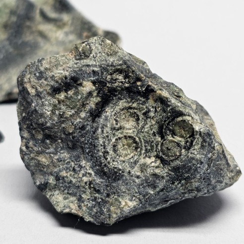 Kambaba jasper mineral for collection – Madagascar