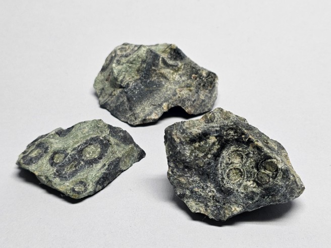 Kambaba jasper mineral for collection – Madagascar