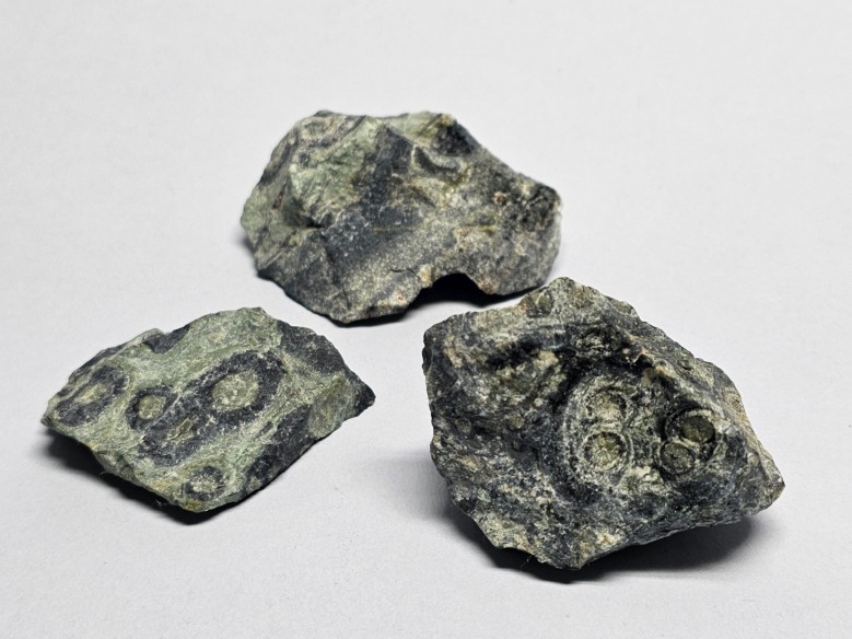 Kambaba jasper mineral for collection – Madagascar
