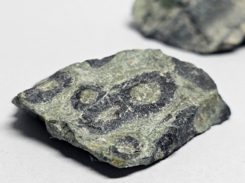 Kambaba jasper mineral for collection – Madagascar