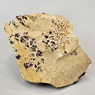 Jaspe paisina Mineral para Colección - Brasil en Cristalljoia
