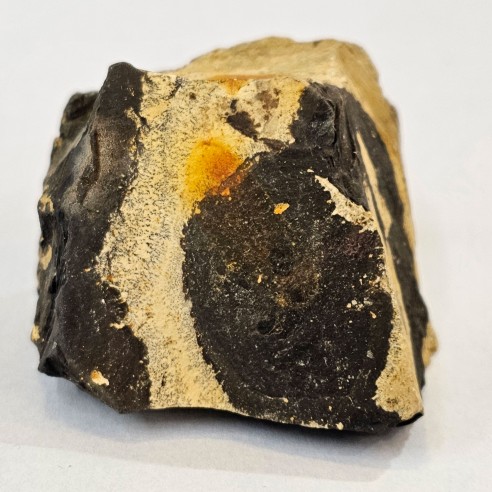 Jaspi paisina mineral per a col·lecció - Brasil