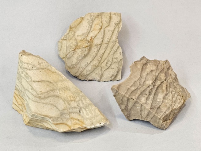 Jaspi escata mineral per a col·lecció - Austràlia