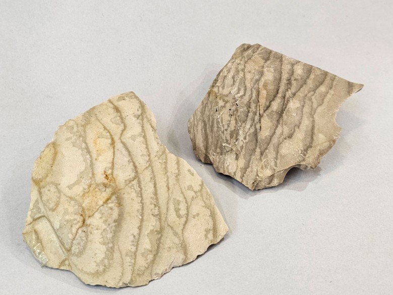 Jaspi escata mineral per a col·lecció - Austràlia