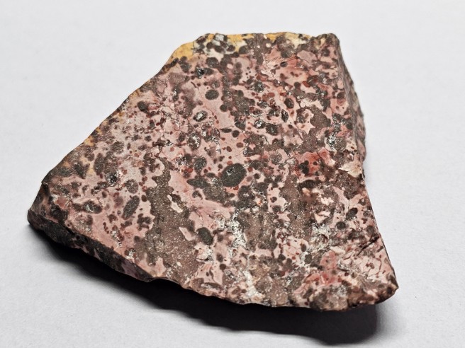 Jaspi lleopard mineral per a col·lecció - Brasil