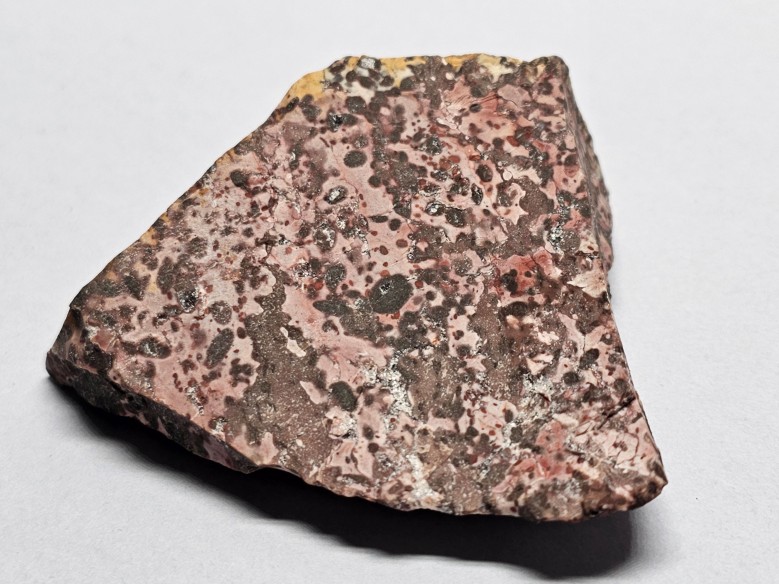 Jaspi lleopard mineral per a col·lecció - Brasil