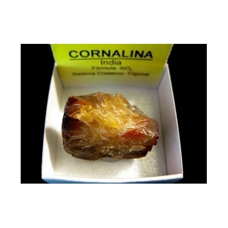 Mineral de colección 4x4 carneola