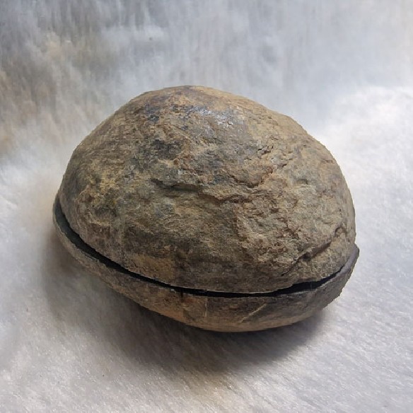 Septaria pareja Marruecos