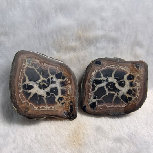 Septaria pareja Marruecos