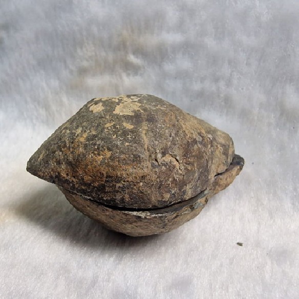 Septaria pareja Marruecos