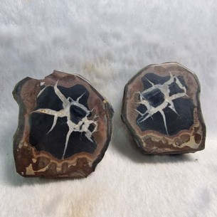 Septaria pareja Marruecos