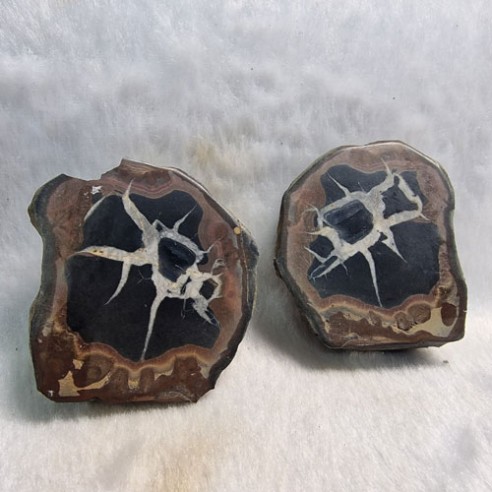 Septaria pareja Marruecos