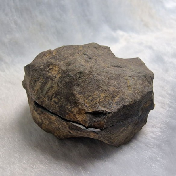 Septaria pareja Marruecos