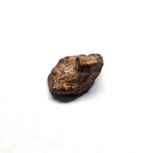 Meteorito Aletali