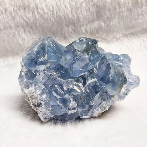 comprar celestina Critalljoia Barcelona