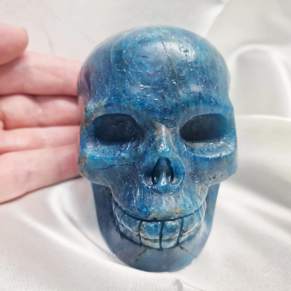 Figura de calavera apatita blava. La calavera evoca memòria