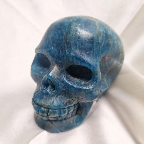Figura de calavera apatita blava. La calavera evoca memòria