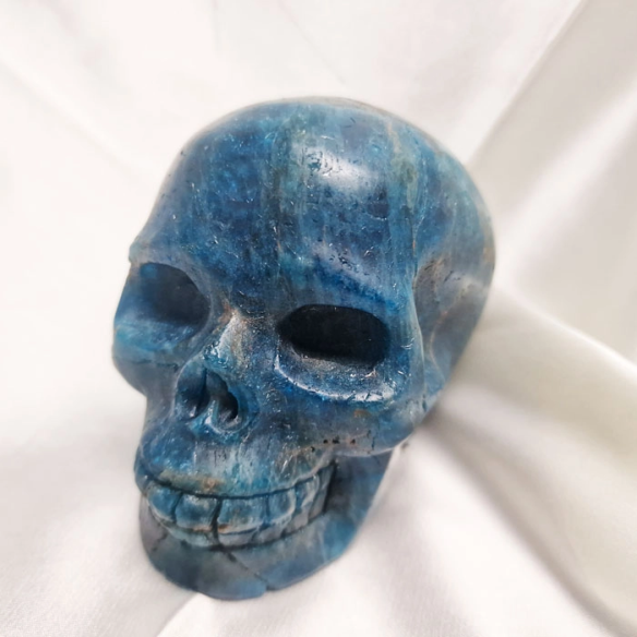 Comprar figura de calavera de apatita azul en Cristalljoia. 40 años de minerales, en el centro de Barcelona y online.