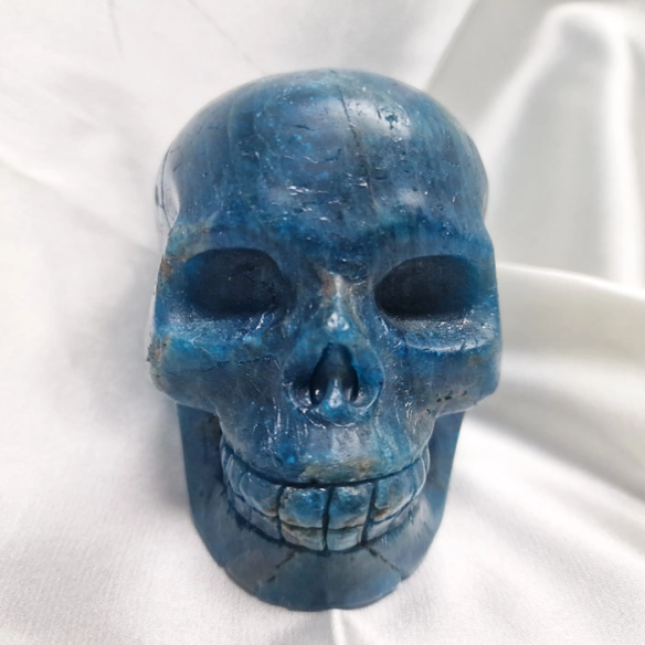 Figura de caveira de apatita azul. A caveira evoca memória
