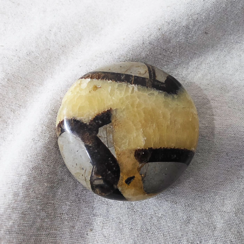 Septarian palm stone. Cracks formed over time by the Earth