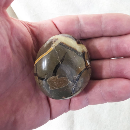 Septària pedra palma. Esquerdes formades per la Terra