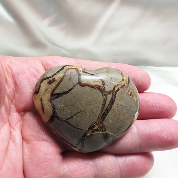 Septarian heart. Cracks formed over time by the Earth