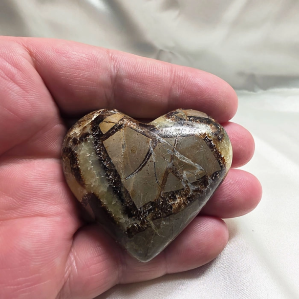 Septarian heart. Cracks formed over time by the Earth