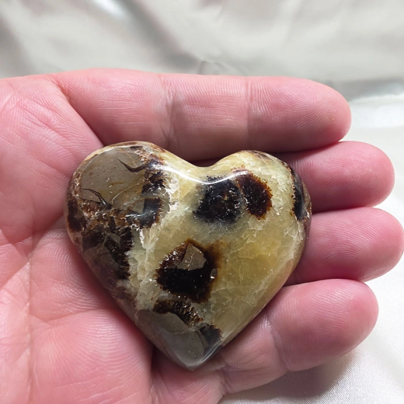 Septarian heart. Cracks formed over time by the Earth
