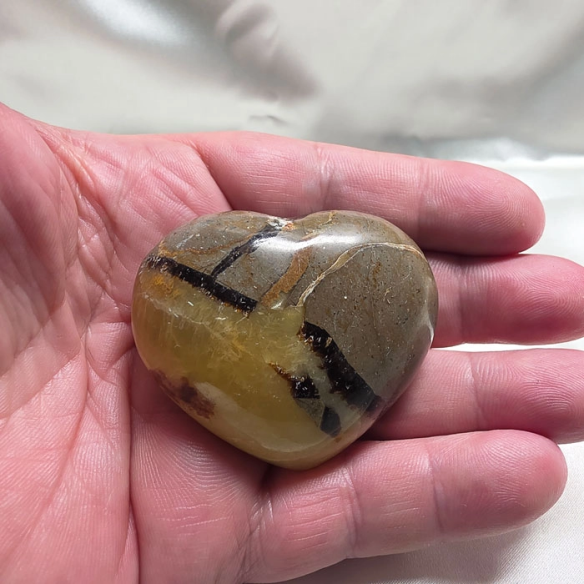 Septarian heart. Cracks formed over time by the Earth